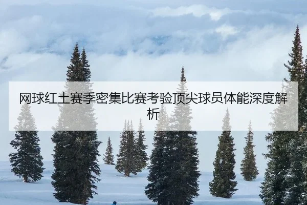 wang-qiu-hong-tu-sai-ji-mi-ji-bi-sai-kao-yan-ding-jian-qiu-yuan-ti-neng-shen-du-jie-xi-2-460.jpg